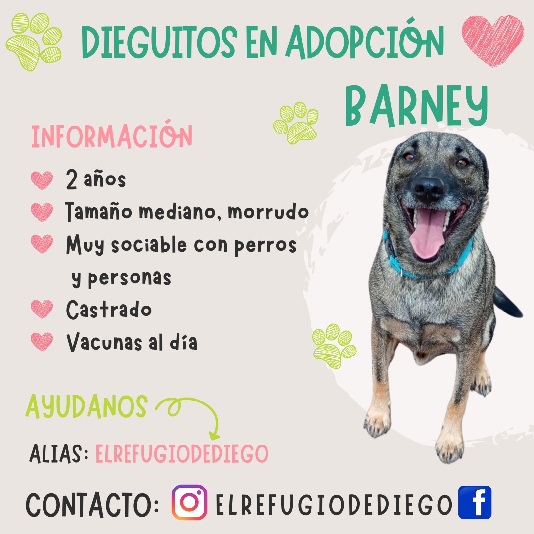 Barney
