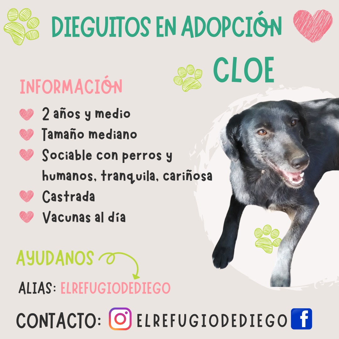 Cloe