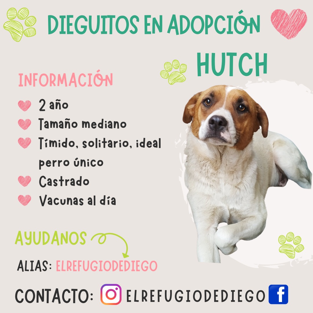 Hutch