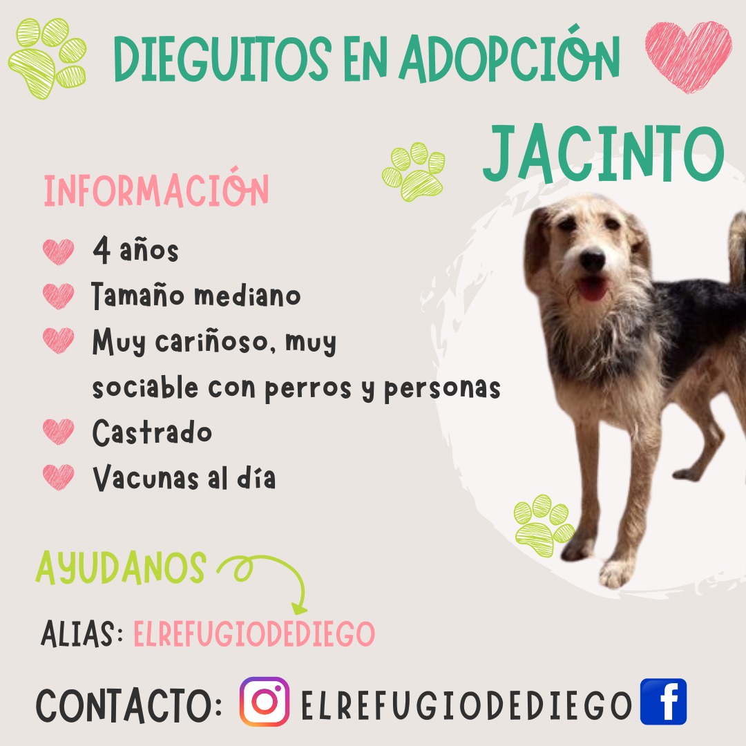 Jacinto