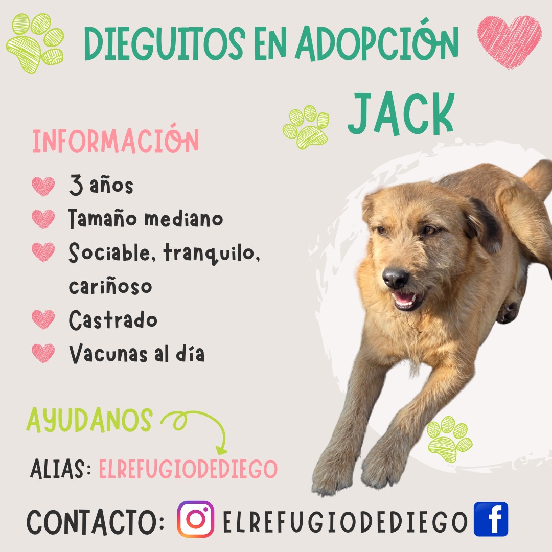 Jack