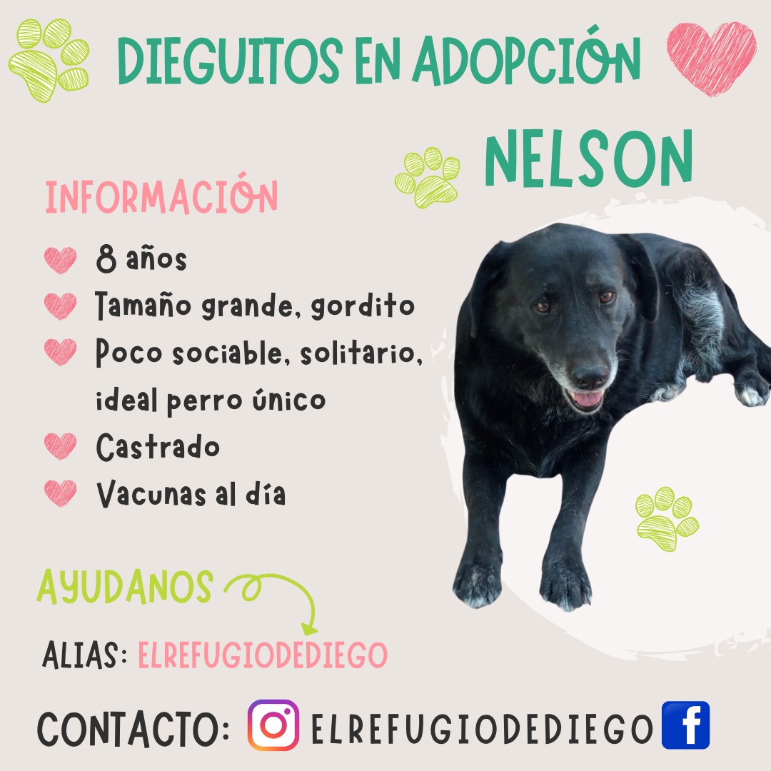 Nelson